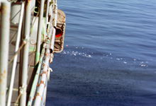 Trash dumped overboard